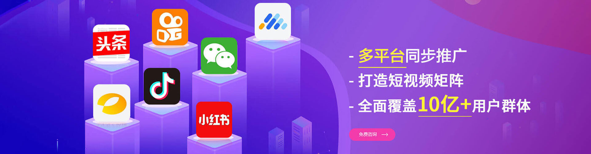 阳信信息流优化